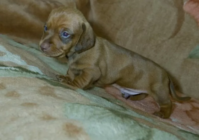 Продам срочно!