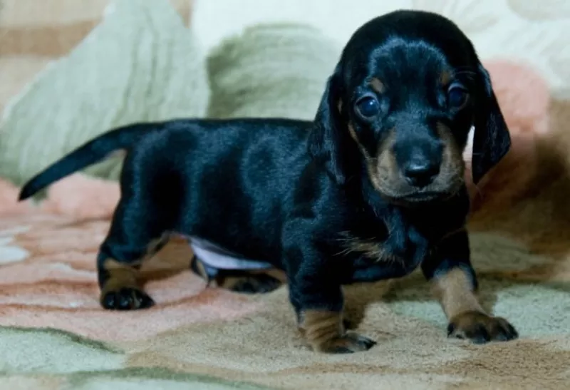 Продам срочно! 2