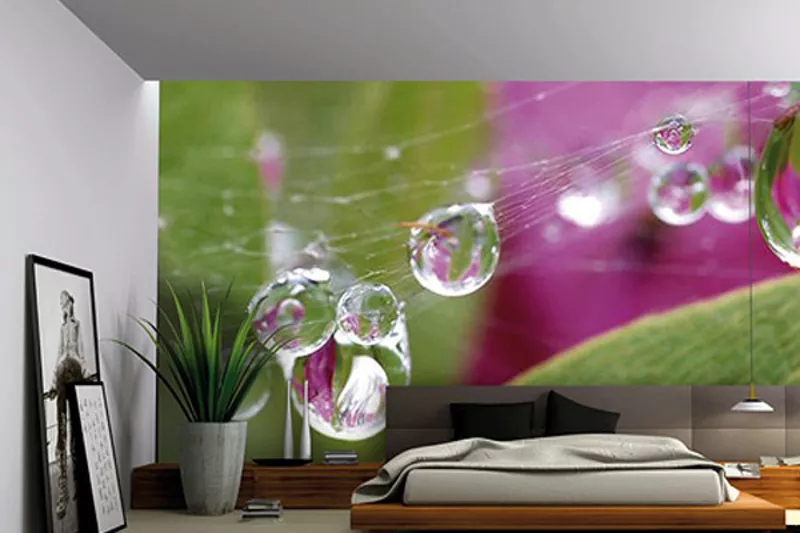 Французкие натяжные потолки, тканевые потолки и стены CLIPSO 3