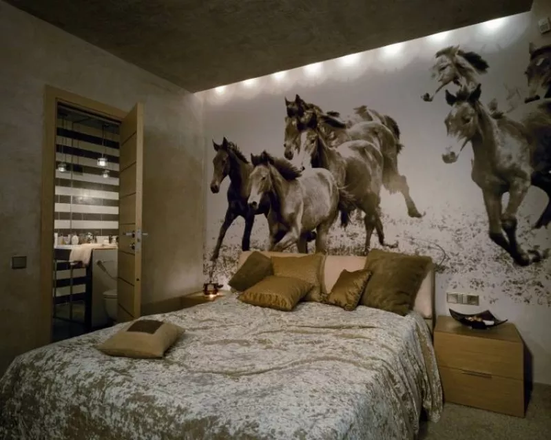 Французкие натяжные потолки, тканевые потолки и стены CLIPSO 4